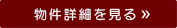 詳細を見る