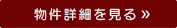 詳細を見る