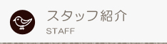 スタッフ紹介